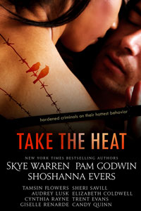 Take The Heat Shoshanna Evers Skye Warren